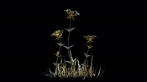 Elegant Golden Flowers and Grass Growth Animation