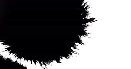 Ink Bleed 12