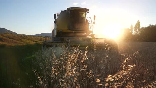 Landwirtschaft