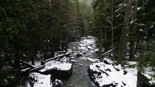Dusting Of Fresh Snow Serene Tranquility Relaxation Concept Beautiful Forest River