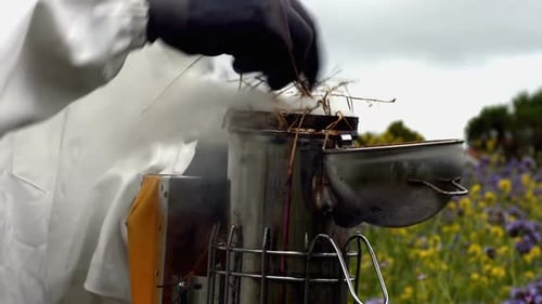 Beekeeper with bee smoker