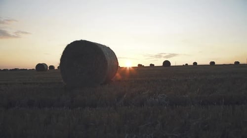 Evening Viewing of Haycocks on Spacious Field with Bright Sunset