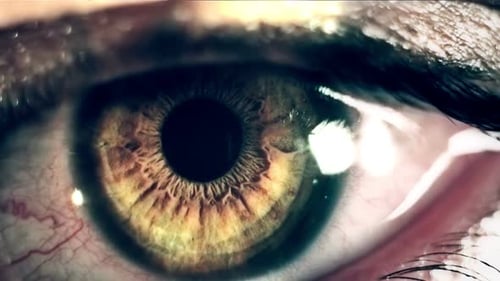 Extreme Close Up of Human Eye with Detail