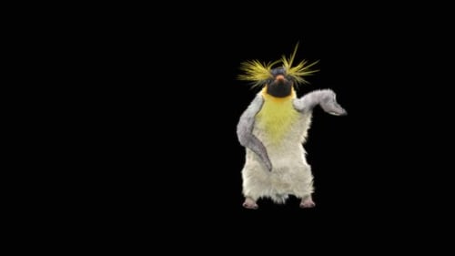 Penguin Dancing HD
