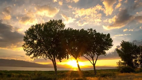 Time lapse of colorful sunset looking through trees on the horizon