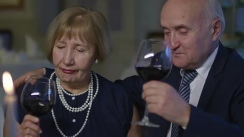 Mature Couple Drinking Wine Together at Home