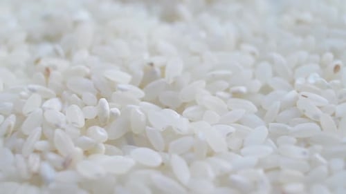 Close Up of Raw Uncooked White Rice