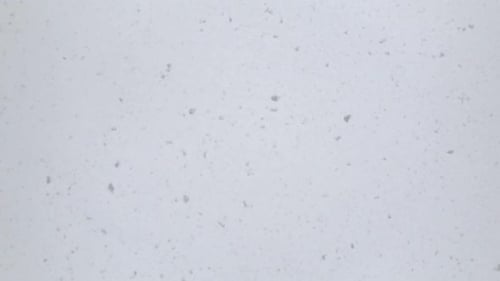 Weißer Schneefall, nahtloser Schneefall