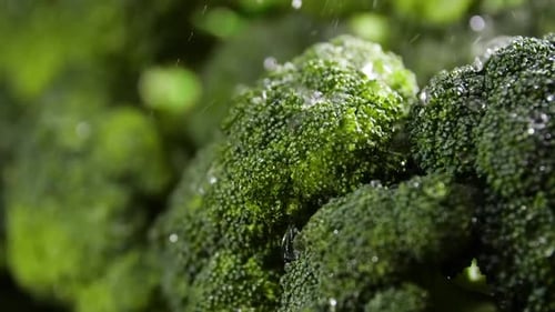 Broccoli With Drops of Water,Beautiful Macro Video, Raw Organic Food Vegetables, Organic Harvest