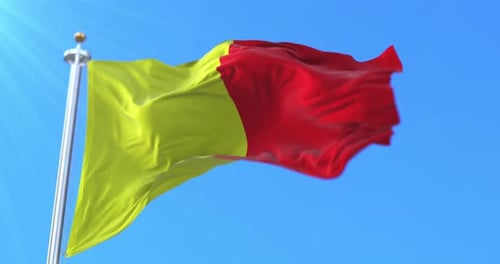 Bandera de Orleans, Francia