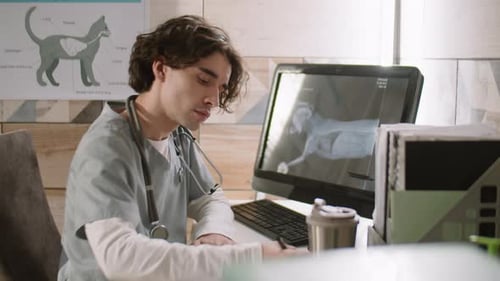 Veterinarian Reviews X-Ray at Desk