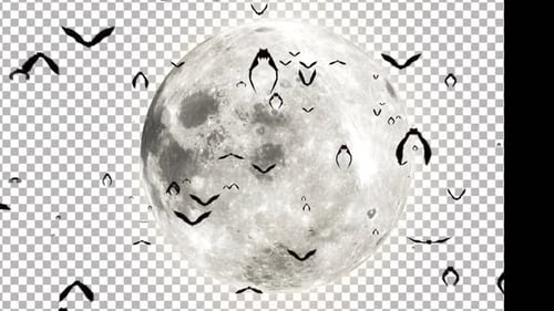 Flying Bats Swarm Around a Full Moon on Halloween Night