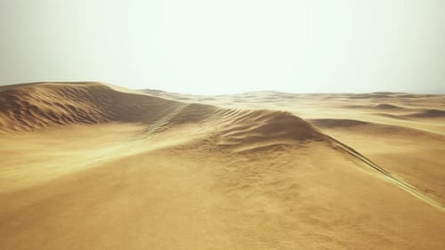 Blick auf die Dünen von Nice Sands im Sands Dunes Nationalpark