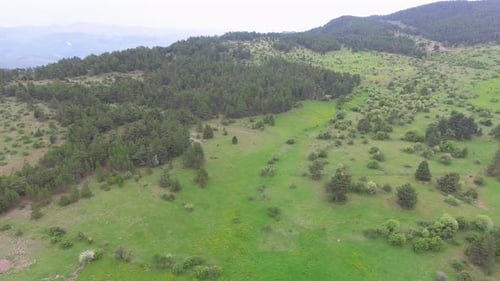 Tableland on the Mountain