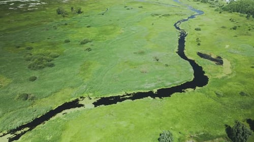 Rural landscape. Green forests and fields. River flows. Aerial photography.
