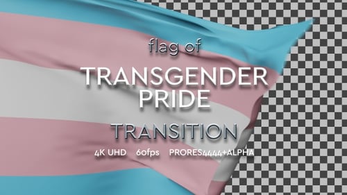 Transgender Pride Flag Waving Transition