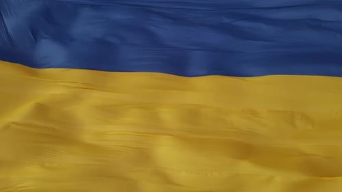 Blue and Yellow Flag Waving in the Wind