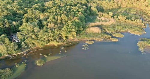 Luftaufnahme des Teichs auf einem Waldpanorama an einem sonnigen Sommertag
