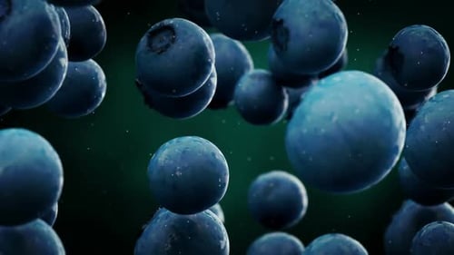Falling Fresh Blueberries with Water Droplets
