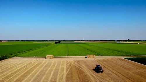 ErntemaschineTraktor Arbeiten im Feld