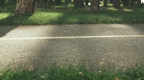 Close up of female legs on skateboard, riding slow. Woman learning to skateboarding in park.