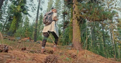 Slow Motion Woman Walking By the Green Forest. Low Angle of Female Traveler