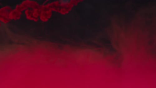 Red Ink Spreads in Dark Liquid Abstract