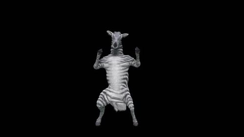 Funny Dancing Zebra 3D Animated Character