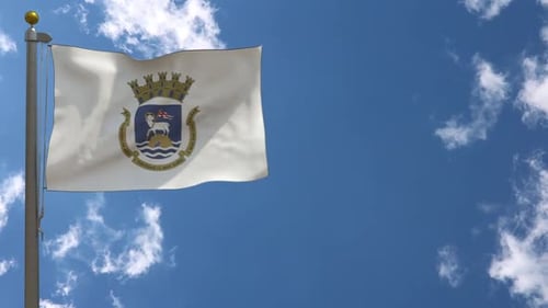 Waving Heraldic Flag with Coat of Arms Against Blue Sky