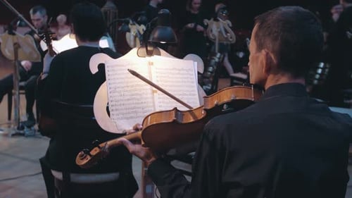 The musician plays the Violin . A Violinist reads sheet music. Repetition. Notes