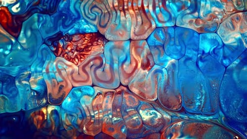 Abstract Colorful Liquid Animation with Cell Structure