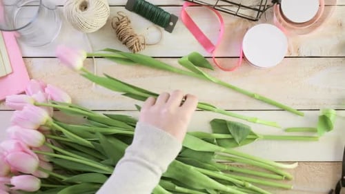 Hands Arranging Pink Tulips on Wooden Table