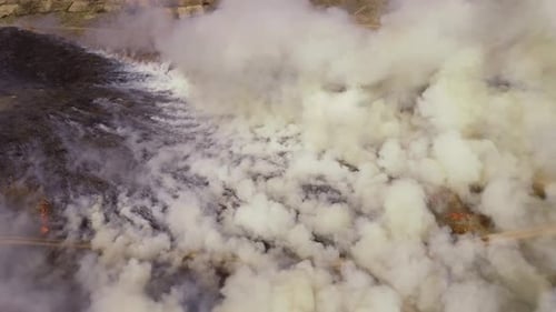 Dry Grass on Lanes and Forest in Fire, Firefighters at Work, Disaster, Ecological Catastrophe