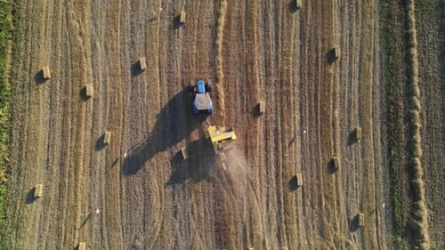 Erntezeit Landwirtschaft