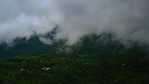 Antenne von Regenwolken, die sich schnell über einem grünen Dschungel auf Bali, Indonesien bewegen