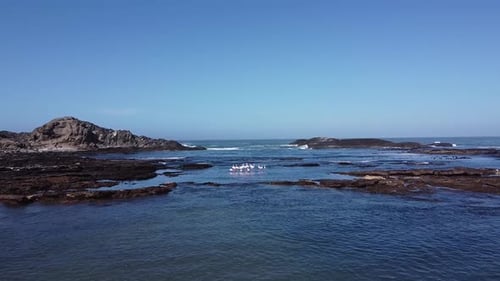 Magnifiques flamants roses près du rivage, vue sur l'océan Atlantique, prise de vue aérienne
