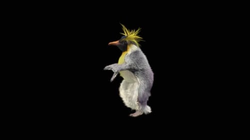 Penguin Dancing HD