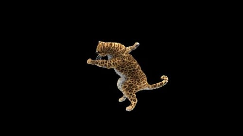 Leopard-Tanz HD