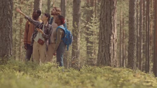 Diverse Friends Using Navigator while Hiking in Forest