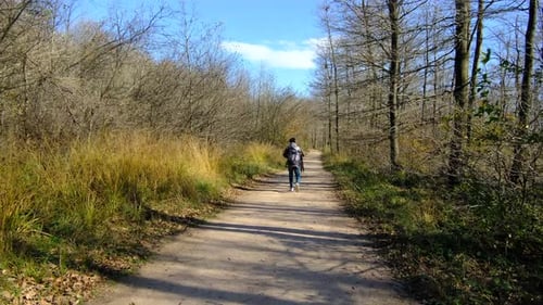 Walking Forest