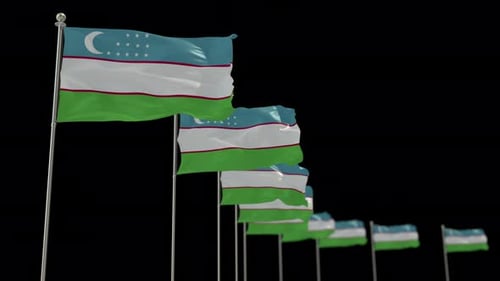 Realistic Waving Uzbekistan Flags 3D Animation