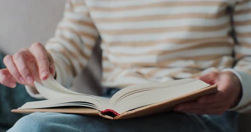 Junge Frau liest Buch im gemütlichen Wohnzimmer Umblättern Lernen Studieren Bildung Bücher lesen