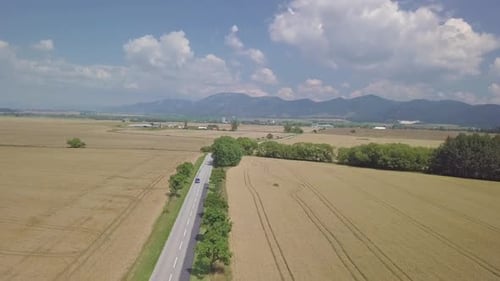 Aerial View of Blue Car on Road in Wheat Field in Summer Countryside