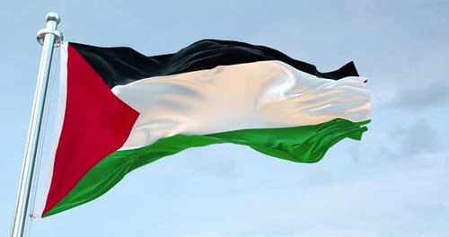 Palestine Flag Waving Realistic Loopable Stock Footage