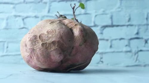 Close Up of Sweet Potato on on Table.