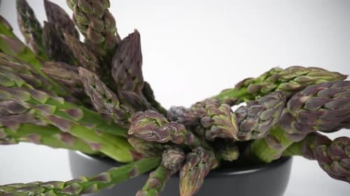Asparagus 28