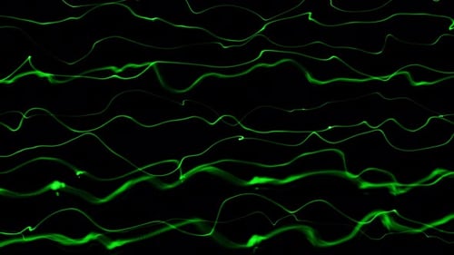 Abstract Green Smooth Line Wave Motion Animated On Black Background