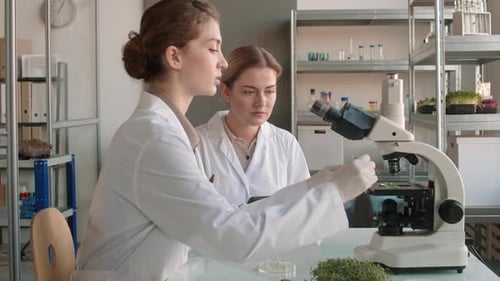 Scientists Using Microscope in a Laboratory