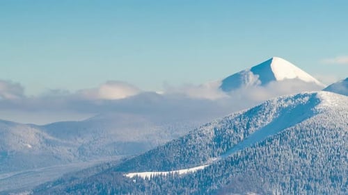 Snowy Mountain Peaks and Forest in Winter