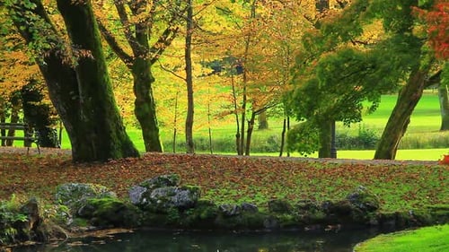 Leere Bank im Herbstpark